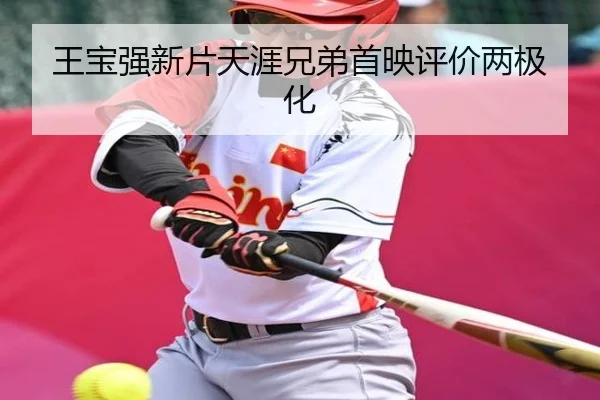 王宝强新片天涯兄弟首映评价两极化